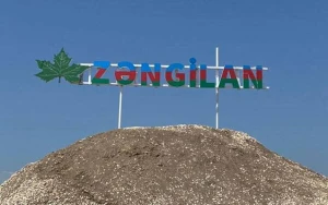 Zəngilanın Baş planı təsdiqləndi
