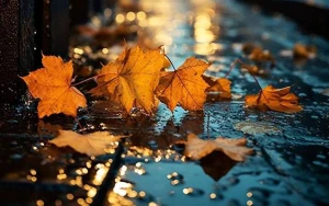 Sabah yağış yağacaq - PROQNOZ