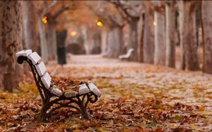 Sabahın havası AÇIQLANDI