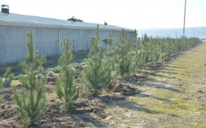 Bakıda inşa olunacaq yeni metronun yaxınlığında bu da olacaq