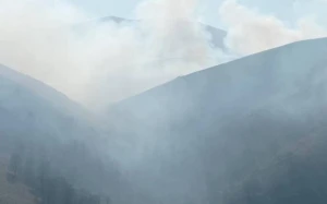 Gədəbəydə Ermənistanla sərhədyanı ərazidəki yanğın söndürülüb