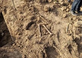 Ağdamda əkin sahəsində qəbir aşkarlandı