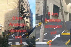 Bakıda tən ortasında ağaclar olan yolla bağlı qurumdan AÇIQLAMA - VİDEO