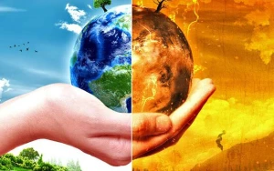 İqlim dəyişikliyinin meşələrə təsiri