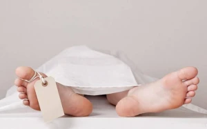 Azərbaycanda ölüm halları azalıb