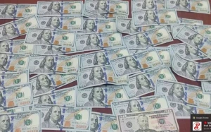 Gəncədə külli miqdarda oğurluq edən qadın SAXLANILDI