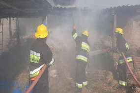 Naxçıvanda silsilə yanğınlar törədən şəxs saxlanıldı