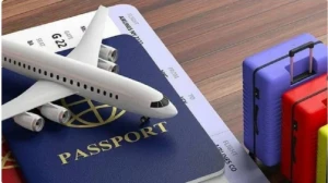 Vətəndaşları ucuz qiymətə tur paketlər adı altında aldadan şəxs saxlanıldı - VİDEO