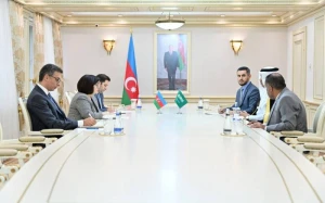 Sahibə Qafarova səfirlərlə danışıqlar apardı