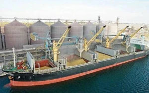 Litva Ukrayna taxılı üçün dəhliz açacaq