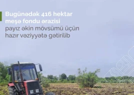 Bugünədək 416 hektar meşə fondu ərazisi payız əkin mövsümü üçün hazır vəziyyətə gətirilib