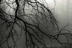 Faktiki hava AÇIQLANDI