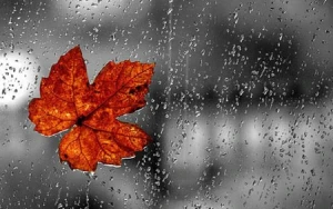 Sabah leysan yağacaq - PROQNOZ