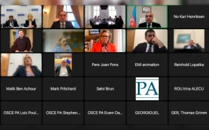 ATƏT PA-da Azərbaycan əleyhinə olan təşəbbüslərin qarşısı alındı - FOTO