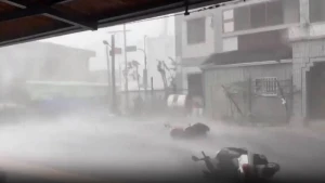Tayvanda “Koinu” qasırğası oldu