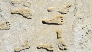 Ən qədim insan ayaq izlərinin yaşı müəyyənləşdi
