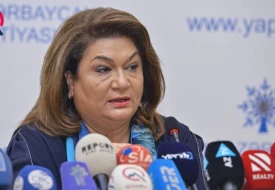 “Atalıq məzuniyyəti ödənişli olsun” - Deputat