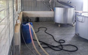 Bərdədə süd istehsalı müəssisəsinin fəaliyyəti məhdudlaşdırıldı