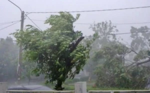 Xəzərdə dalğanın hündürlüyü 3 metrə çatdı - Bakıda külək gücləndi