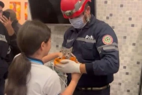 Bakıda binanın havalandırma şaxtasına düşən pişiyin xilas edilmə anı - VİDEO