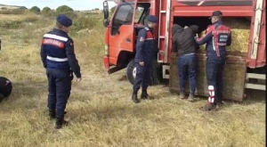 Qeyri-qanuni immiqrantlar ot bağlamaları arasında yaxalandı - FOTO