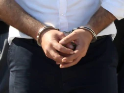 Beynəlxalq axtarışda olan şəxs Ukraynadan Azərbaycana gətirildi