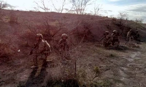 Azərbaycan-Türkiyə birgə təlimində xüsusi təyinatlılar yüksək peşəkarlıq nümayiş etdirirlər - VİDEO
