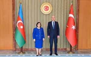 Azərbaycan və Türkiyə bütün məsələlərdə bir-birini dəstəkləyir - SPİKER