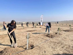 Heydər Əliyevin 100 illik yubileyi ilə əlaqədar ağacəkmə tədbiri keçirildi - FOTO