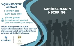 Sahibkarlarla növbəti görüş Şirvanda keçiriləcək