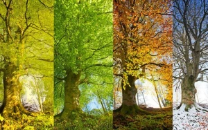 2024-cü ildə fəsillərin Azərbaycana daxilolma vaxtları AÇIQLANDI