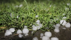 Qaxda dolu və leysan fəsadlar törətdi