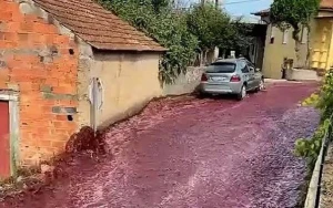 Küçəni şərab seli basdı - FOTO/VİDEO