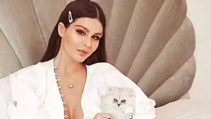 Satanizm təriqətinin qurbanı olan pişiklər