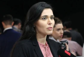 Gürcüstandakı radikal ermənilər soydaşlarımıza qarşı qarayaxma kampaniyası aparırlar
