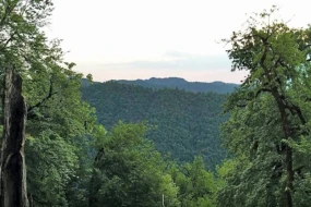 Azərbaycanın “Hirkan meşələri” UNESCO-nun Ümumdünya İrs Siyahısına daxil edilib