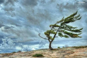 Bakıda və Abşeron yarımadasında külək gücləndi - FAKTİKİ HAVA