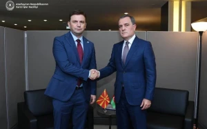 Nazir ATƏT sədri ilə görüşdü - Antiterror tədbirləri müzakirə edildi