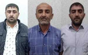 Meşədən mal-qara oğurlayanlar həbs edilib