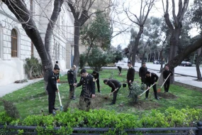 Dövlət Xidməti növbəti dəfə ağacəkmə aksiyası keçirdi - FOTOLAR