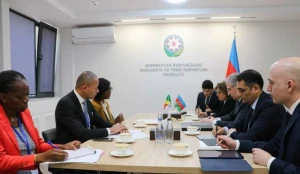 Bakıda COP29-la bağlı görüş keçirildi 