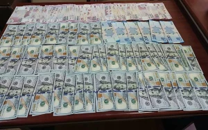 Borc verməyən bibisinin evindən 27500 manat oğurladı - FOTO