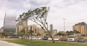 Küləkli hava ilə bağlı əhaliyə ÇAĞIRIŞ