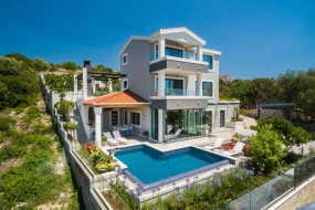 Bağban villadan 5 minlik dekorativ bitkilər oğurladı