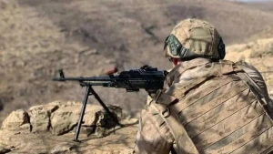 Türkiyə 4 terrorçunu zərərsizləşdirdi