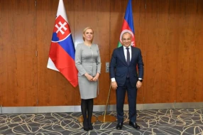 Azərbaycanla Serbiya arasında əlaqələr müzakirə edildi