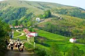 Azərbaycanın bəzi kəndlərində kirayə evlər kəskin BAHALAŞIB