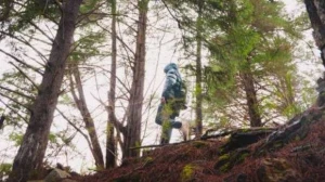 Türkiyədə 40 yaşlı kişi meşədə intihar etdi