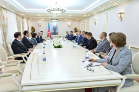 Əlcəzairli deputatlar Sahibə Qafarova ilə görüşdə