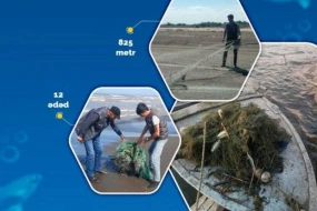 Qadağan olunmuş ov alətləri aşkarlandı